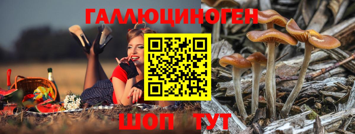 Псилоцибиновые грибы Psilocybe  Вход с VPN  Галлюциногенные грибы ЛСД  Волжский 