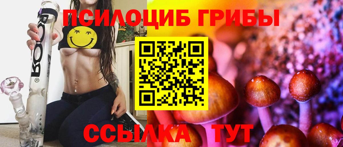 Псилоцибиновые грибы ЛСД Волжский